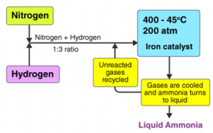 The simple scheme of Haber-Bosch process