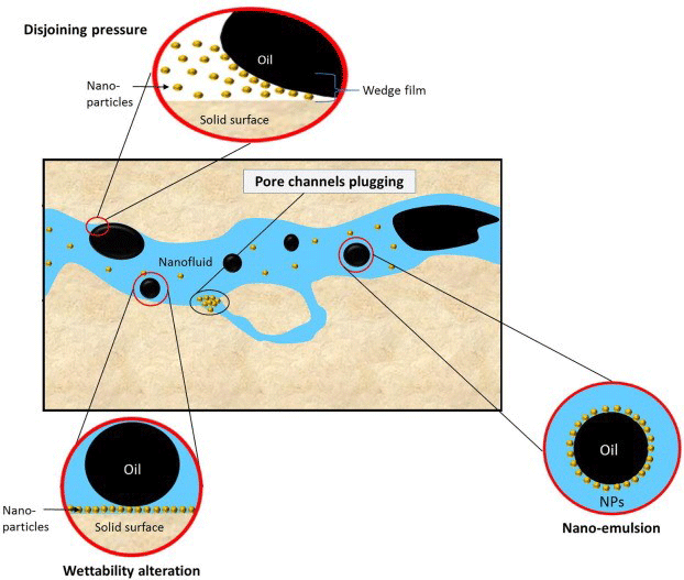 Mechanism of action of nanoparticles in surrounding oil droplets and  helping them to move in the well