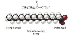 سدیم استئارات (Sodium Stearate)