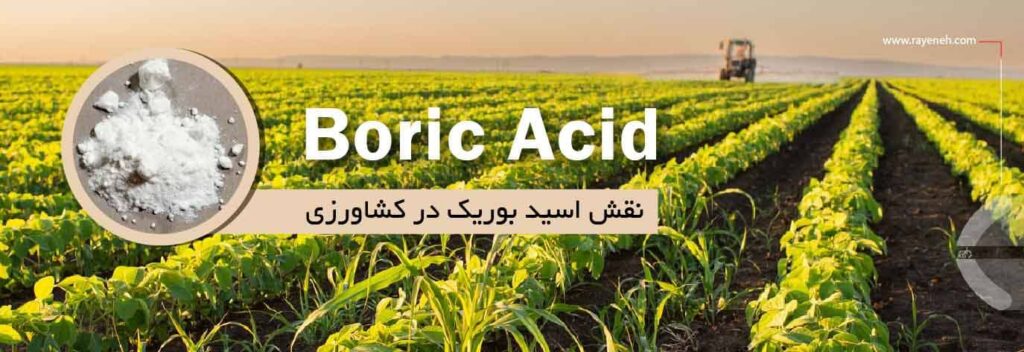 نقش اسید بوریک در کشاورزی